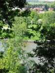 163-6355_IMG.JPG