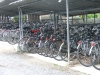 2 mai Wetteren 033.jpg
