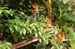 IMG_3735_1.JPG