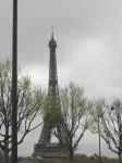 160-6023_IMG.JPG