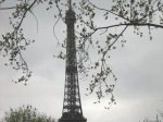 160-6026_IMG.JPG