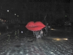 160-6074_IMG.JPG