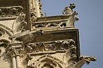 IMG_6315.JPG