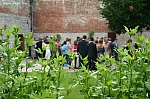 IMG_8850.JPG