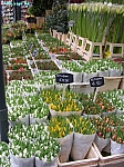 DSCN2671.JPG