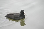 IMG_5203_1.JPG