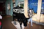 IMG_5908.JPG