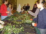 DSC05269.JPG