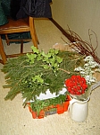 DSC05274.JPG