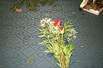 IMG_5587.JPG
