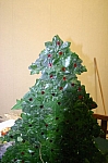 IMG_5588.JPG