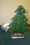 IMG_5589.JPG