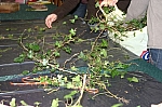 IMG_6943.JPG