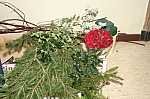 IMG_6949.JPG
