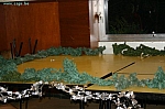 IMG_6961.JPG