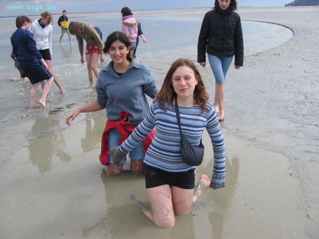 IMG_2262.JPG
