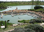 IMG_2339.JPG