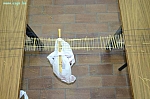 IMG_8648.JPG