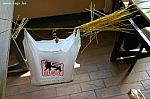 IMG_8650.JPG