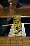 IMG_8654.JPG