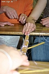 IMG_8674.JPG