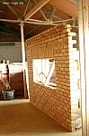 IMG_5496.JPG