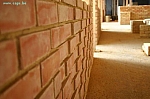 IMG_5506.JPG