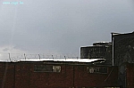 IMG_8456.JPG