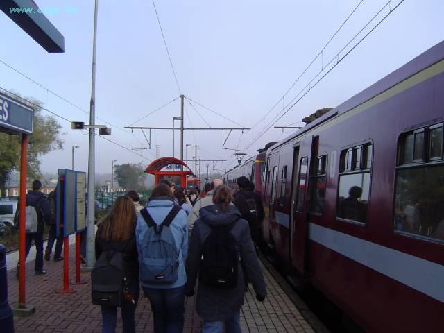 DSC05116.JPG