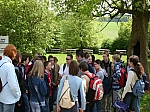 IMG_8257.JPG