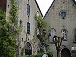 IMG_8334.JPG