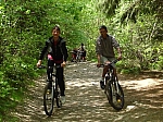 vtt05.jpg
