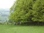 DSC04271.JPG