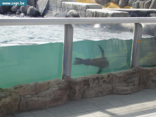sea life 014.jpg