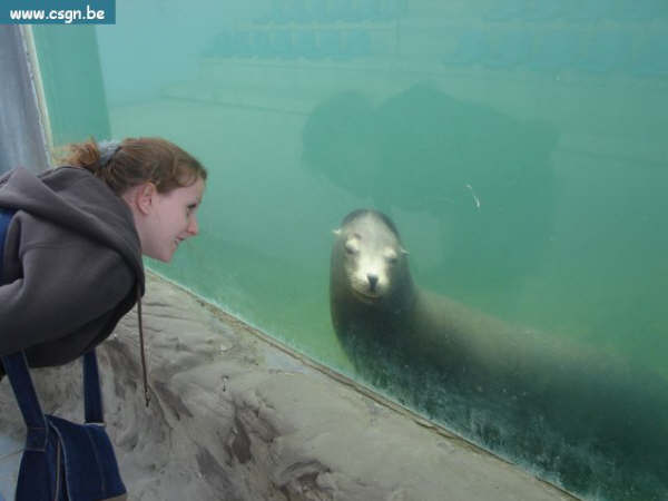sea life 057.jpg