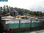 sea life 011.jpg