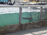 sea life 014.jpg
