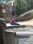 sea life 024.jpg