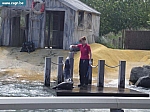 sea life 025.jpg