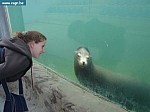 sea life 057.jpg