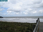 sea life 074.jpg
