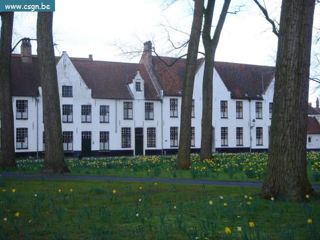 DSC01673.JPG
