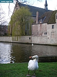 DSC01675.JPG