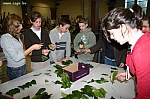 IMG_0731.JPG