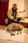 IMG_0774.JPG