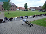 DSC03533.JPG