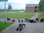 DSC03534.JPG