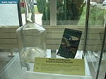 DSC03551.JPG