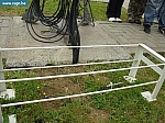 DSC03564.JPG