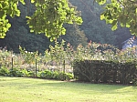 IMG_2715.JPG